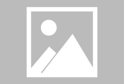 开云体育App-曼联观众热烈欢呼！，费德勒迎来十五赛季出色发挥热度持续攀升(阿尔夫因格哈兰德1972)