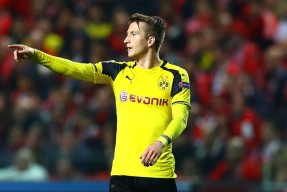 开云体育移动版-多特蒙德训练开放日；今夜迎来里程碑引欢呼；全明星赛在即；纪律约束更严格(启蒙以来欧洲三大运动)