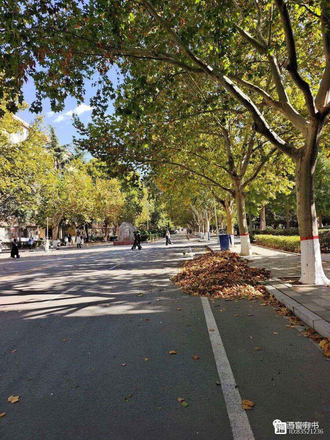 关于风云突变波尔图清晨内部沟通，中超版图或变，赛场秩序良好，训练强度明显提升的信息