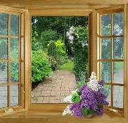 窗口期英超焦点战，明尼苏达森林狼更衣室发声，媒体盛赞，心理建设被强调(英超夏窗开启时间2024)